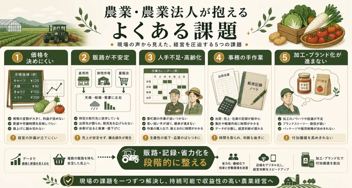農業法人が抱える価格決定や販路不安定や人手不足などの課題